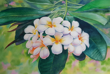 Pintura intitulada "White flowers plume…" por Svetlana Lileeva, Obras de arte originais, Aquarela