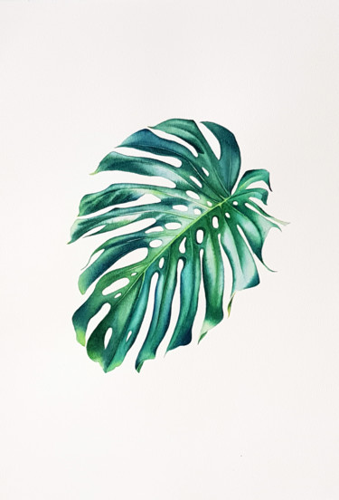 Pintura intitulada "Leaf of a monstera" por Svetlana Lileeva, Obras de arte originais, Aquarela