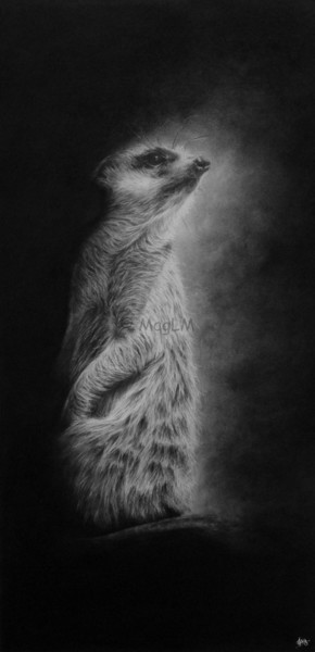 Drawing titled "Sentinelle" by Magali Lapeyre-Mirande, Original Artwork, Pencil
