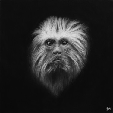 Dessin intitulée "Tamarin" par Magali Lapeyre-Mirande, Œuvre d'art originale, Crayon