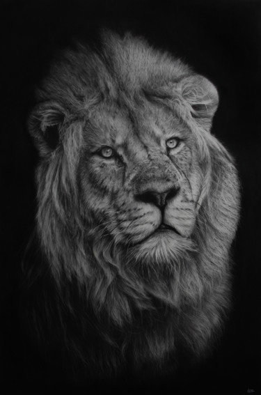 Dessin intitulée "Le Roi Lion" par Magali Lapeyre-Mirande, Œuvre d'art originale, Crayon
