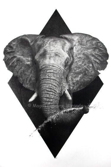 Desenho intitulada "Eléphant" por Magali Lapeyre-Mirande, Obras de arte originais, Lápis