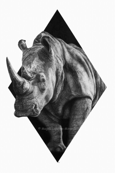 Drawing titled "Rhino" by Magali Lapeyre-Mirande, Original Artwork, Pencil