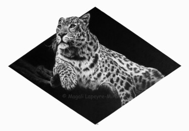 Drawing titled "Leopard" by Magali Lapeyre-Mirande, Original Artwork, Pencil
