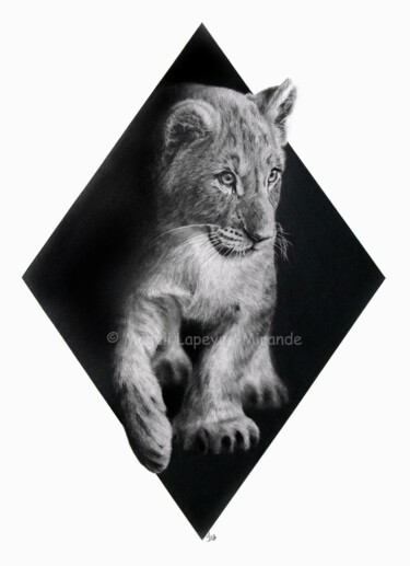 Drawing titled "Lionceau" by Magali Lapeyre-Mirande, Original Artwork, Pencil