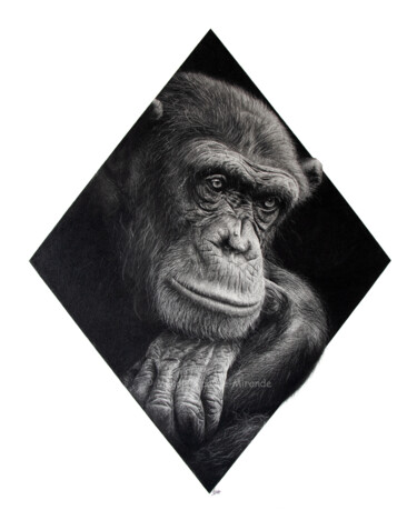 Rysunek zatytułowany „Chimpanzé” autorstwa Magali Lapeyre-Mirande, Oryginalna praca, Ołówek