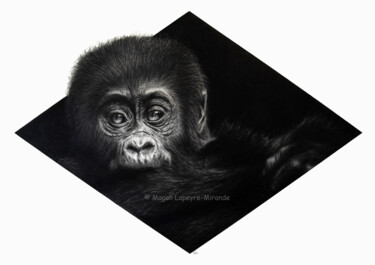 Drawing titled "Bébé Gorille" by Magali Lapeyre-Mirande, Original Artwork, Pencil