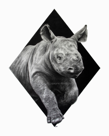 Drawing titled "Bébé Rhino" by Magali Lapeyre-Mirande, Original Artwork, Pencil