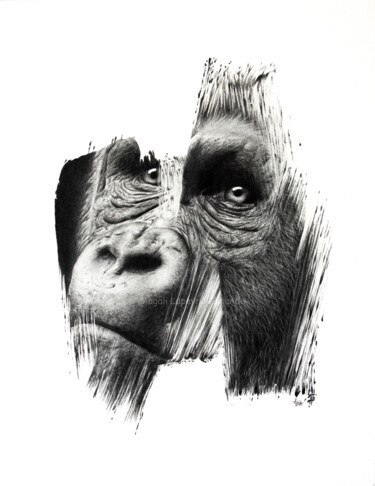 Рисунок под названием "Gorille" - Magali Lapeyre-Mirande, Подлинное произведение искусства, Карандаш