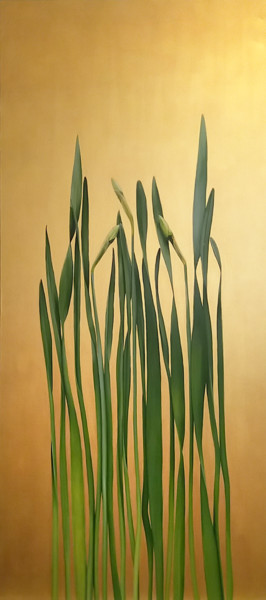 Painting titled "Narcissus" by Rita Magos, Original Artwork, Oil