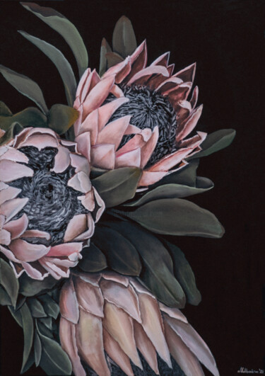 Painting titled "Protea flower" by Anastasiia Makhankova, Original Artwork, Oil