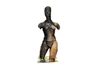 Sculpture intitulée "Strength" par Mahesh Chathuranga Ekanayake, Œuvre d'art originale, Métaux