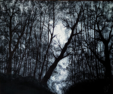 Pintura titulada "Dark Fantasy.jpg" por Mahfuzur Rahman, Obra de arte original, Acrílico Montado en Panel de madera