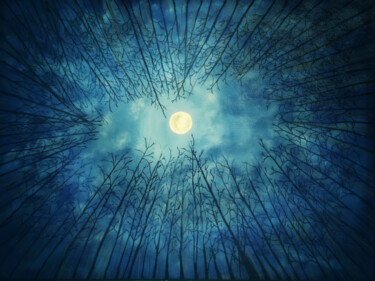 Картина под названием "Lonely Moon" - Mahfuzur Rahman, Подлинное произведение искусства, Акрил Установлен на Деревянная пане…