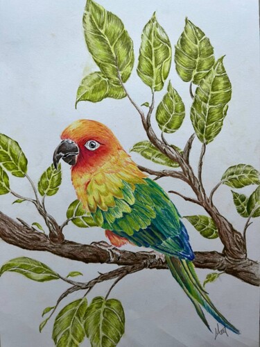 Disegno intitolato "Colorful Bird" da Mahmud Awang, Opera d'arte originale, Matita