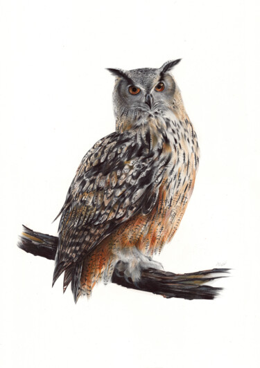 Drawing titled "Eurasian Eagle-owl…" by Daria Maier, Original Artwork, Ballpoint pen