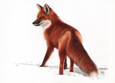 Red Fox - Animal Portrait Painting (Realistic Ballpoint Pen Dessin intitulée "Red Fox - Animal Po…" par Daria Maier, Œuvre d'art originale, Stylo à bille