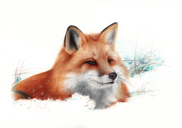 Dessin intitulée "Red Fox Portrait (P…" par Daria Maier, Œuvre d'art originale, Stylo à bille