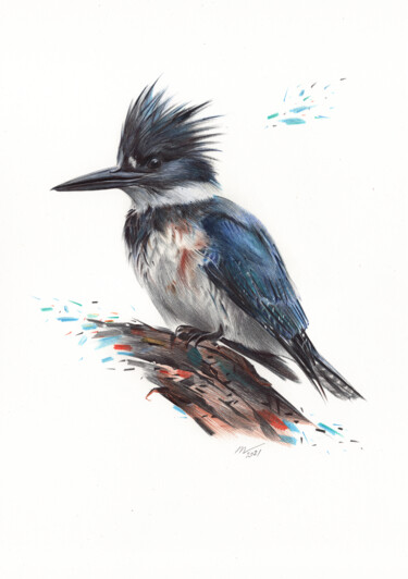 Drawing titled "Belted Kingfisher -…" by Daria Maier, Original Artwork, Ballpoint pen