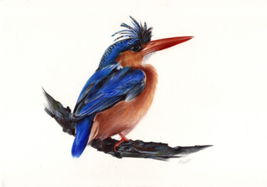 Drawing titled "Azure Kingfisher -…" by Daria Maier, Original Artwork, Ballpoint pen