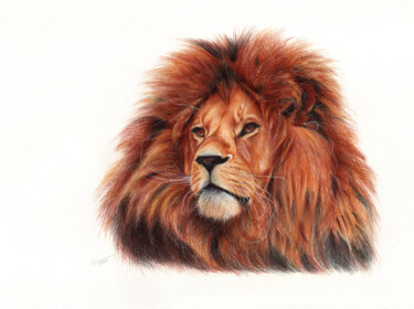 Рисунок под названием "Lion - Animal Portr…" - Daria Maier, Подлинное произведение искусства, Шариковая ручка