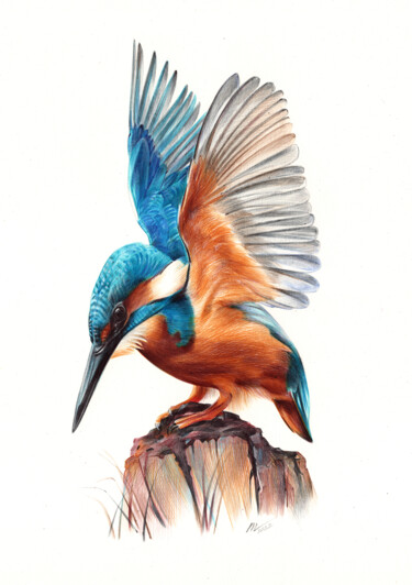Drawing titled "River Kingfisher -…" by Daria Maier, Original Artwork, Ballpoint pen