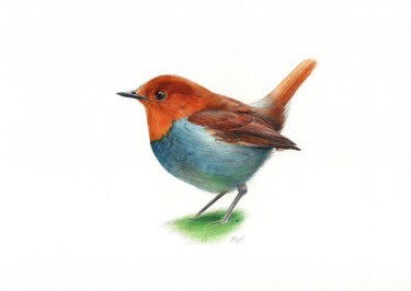 Rysunek zatytułowany „European Robin - Bi…” autorstwa Daria Maier, Oryginalna praca, Długopis