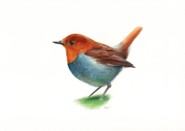 Zeichnungen mit dem Titel "European Robin - Bi…" von Daria Maier, Original-Kunstwerk, Kugelschreiber