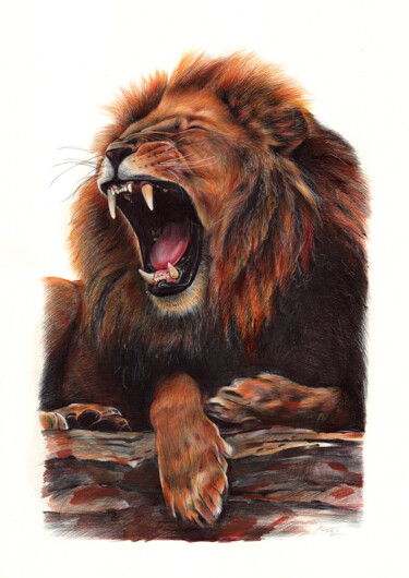 Zeichnungen mit dem Titel "African Lion - Anim…" von Daria Maier, Original-Kunstwerk, Kugelschreiber