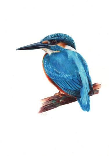 Drawing titled "Eurasian Kingfisher…" by Daria Maier, Original Artwork, Ballpoint pen