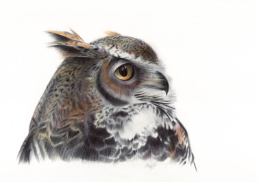 Disegno intitolato "Long-eared Owl (Pho…" da Daria Maier, Opera d'arte originale, Biro