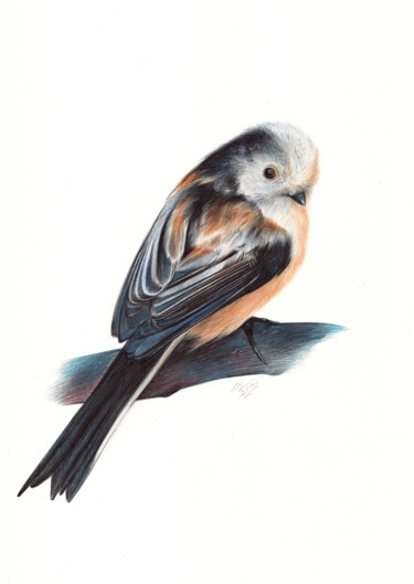 Drawing titled "Long-tailed Tit - (…" by Daria Maier, Original Artwork, Ballpoint pen