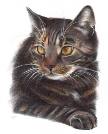 Рисунок под названием "Cat (Photorealistic…" - Daria Maier, Подлинное произведение искусства, Шариковая ручка