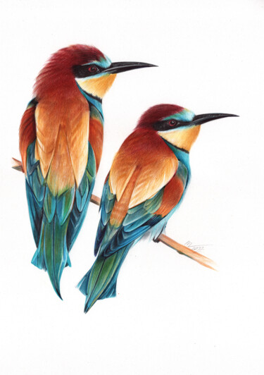 Dessin intitulée "European Bee-eater…" par Daria Maier, Œuvre d'art originale, Stylo à bille