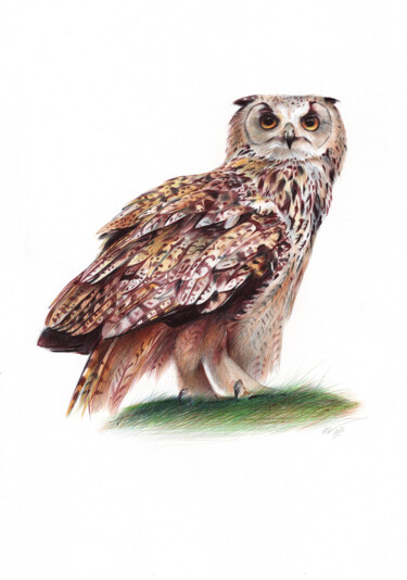 Drawing titled "Eurasian Eagle-owl…" by Daria Maier, Original Artwork, Ballpoint pen
