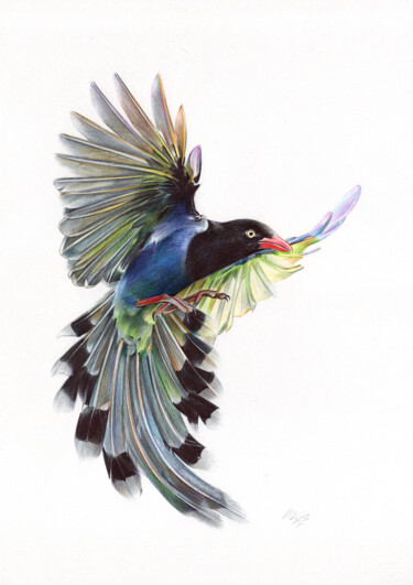 Drawing titled "Taiwan Blue Magpie…" by Daria Maier, Original Artwork, Ballpoint pen