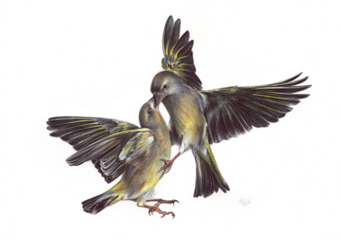 Zeichnungen mit dem Titel "Eurasian Siskin (Re…" von Daria Maier, Original-Kunstwerk, Kugelschreiber