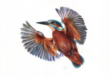 Drawing titled "River Kingfisher II…" by Daria Maier, Original Artwork, Ballpoint pen