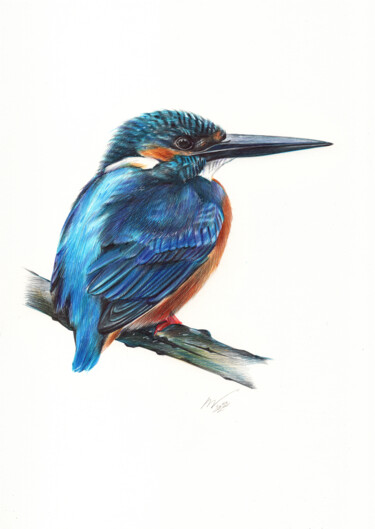 Dessin intitulée "River Kingfisher II…" par Daria Maier, Œuvre d'art originale, Stylo à bille