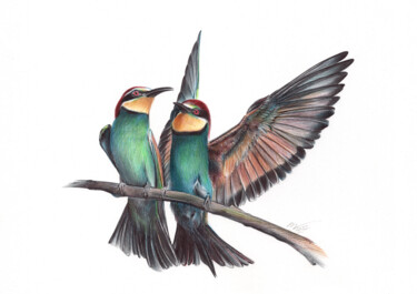 Dibujo titulada "European Bee-eater…" por Daria Maier, Obra de arte original, Bolígrafo