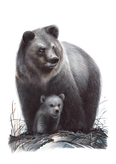 Rysunek zatytułowany „Bear (Realistic Bal…” autorstwa Daria Maier, Oryginalna praca, Długopis
