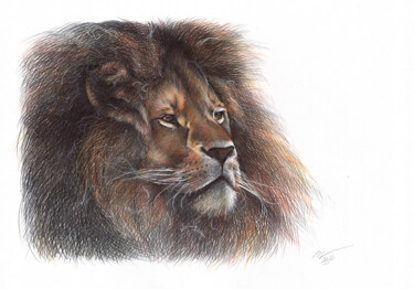 Zeichnungen mit dem Titel "Lion - Animal Portr…" von Daria Maier, Original-Kunstwerk, Kugelschreiber