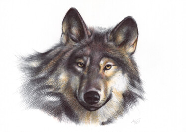 Dessin intitulée "Grey Wolf (Realisti…" par Daria Maier, Œuvre d'art originale, Stylo à bille