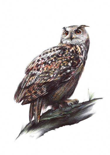 Drawing titled "Eurasian Eagle-owl…" by Daria Maier, Original Artwork, Ballpoint pen