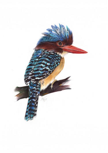 Dessin intitulée "Banded Kingfisher I…" par Daria Maier, Œuvre d'art originale, Stylo à bille