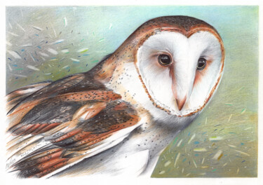 Disegno intitolato "Barn Owl II (Realis…" da Daria Maier, Opera d'arte originale, Biro