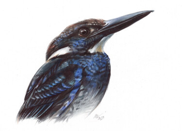 Desenho intitulada "Javan Blue-Banded K…" por Daria Maier, Obras de arte originais, Canetac de aerossol