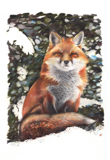 Disegno intitolato "Red Fox VI" da Daria Maier, Opera d'arte originale, Biro