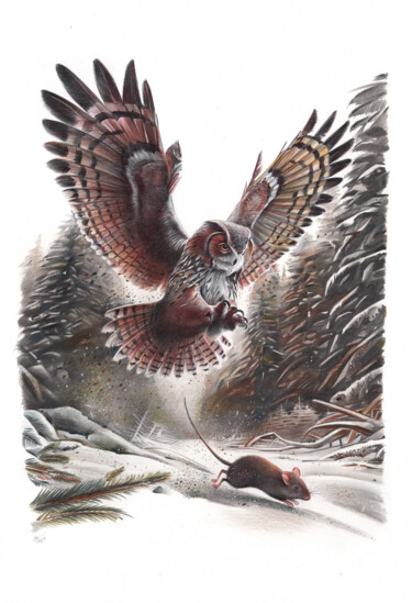 Tekening getiteld "The Owl And The Mou…" door Daria Maier, Origineel Kunstwerk, Balpen