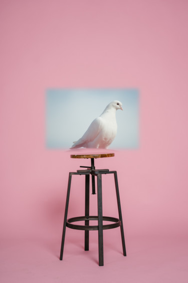 Digital Arts titled "Inside-outside, a d…" by Tal Ya, Original Art, Photo Montage